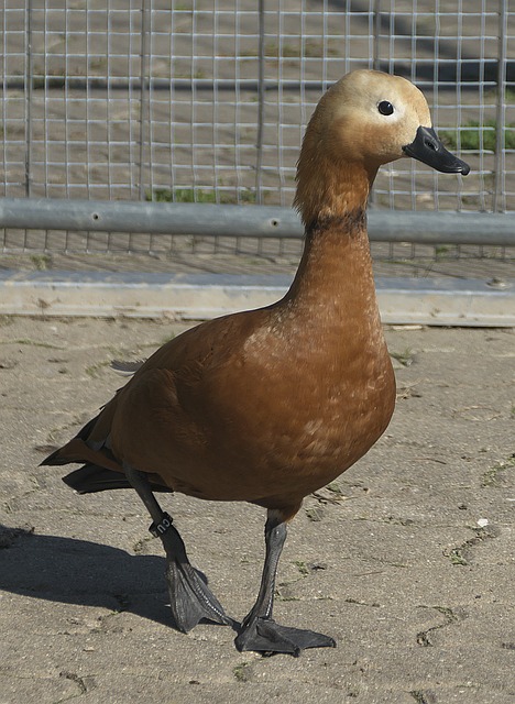 度来看