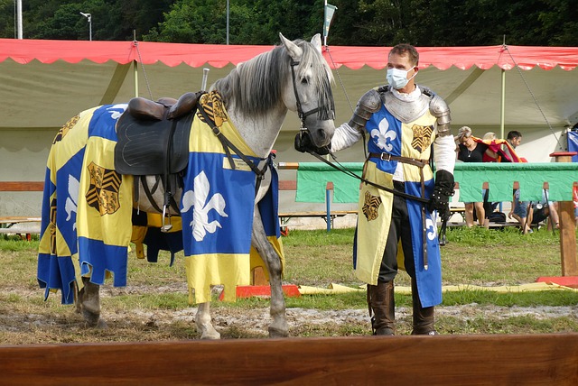 比赛的精彩 比赛的精彩