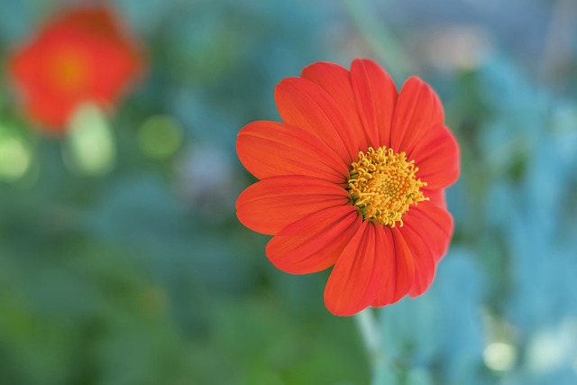 三国积极竞 三国积极竞