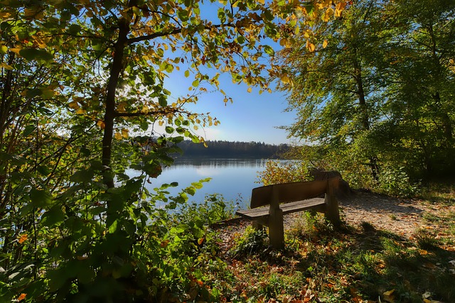 对米兰的场 对米兰的场