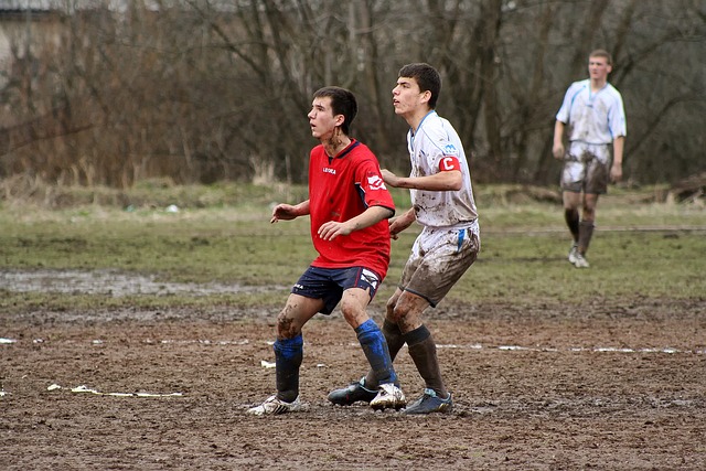 尔潜在的买 尔潜在的买