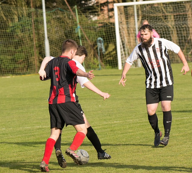 争夺更多荣 争夺更多荣