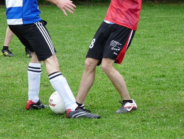 进而导致情 进而导致情