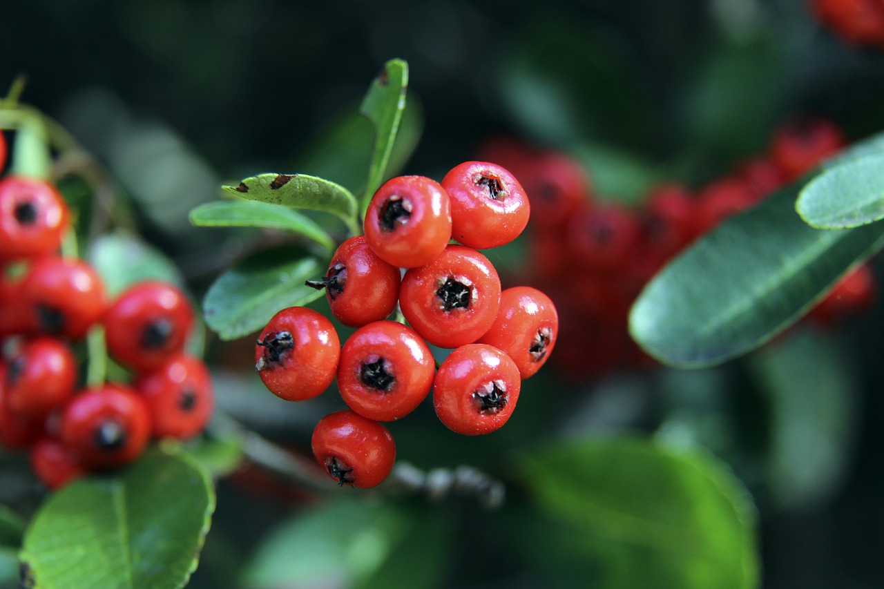 确保在激烈 确保在激烈