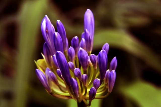 许晨妍这样 许晨妍这样